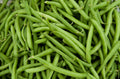 Contender Green Bean Seeds – Phaseolus vulgaris – Bush Type, Fresh Organic Seeds for Home Gardening