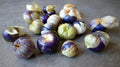 Purple Tomatillo Seeds - Heirloom Physalis ixocarpa for Salsa, 20 Count Packet, Easy to Grow, Non-GMO, Container Gardening