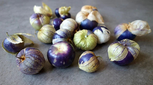 Purple Tomatillo Seeds - Heirloom Physalis ixocarpa for Salsa, 20 Count Packet, Easy to Grow, Non-GMO, Container Gardening
