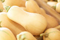 Butternut Squash Seeds - 25+ Pack for Garden Planting - Cucurbita moschata - Organic, USA Grown, Free Shipping
