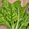Fordhook Giant Swiss Chard Seeds - Organic Heirloom Non-GMO, 50+ Seeds for Home Gardening, Rich Green Leaves & White Stems