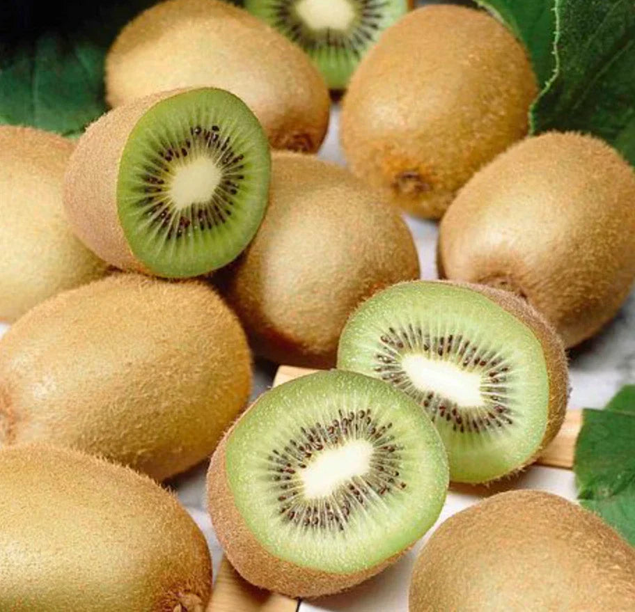 Set of 4 Live Prolific Kiwi Trees – Soil-Wrapped Roots – Actinidia deliciosa – 4–6 Inches Tall, Climbing Vine, Fruit-bearing Plants