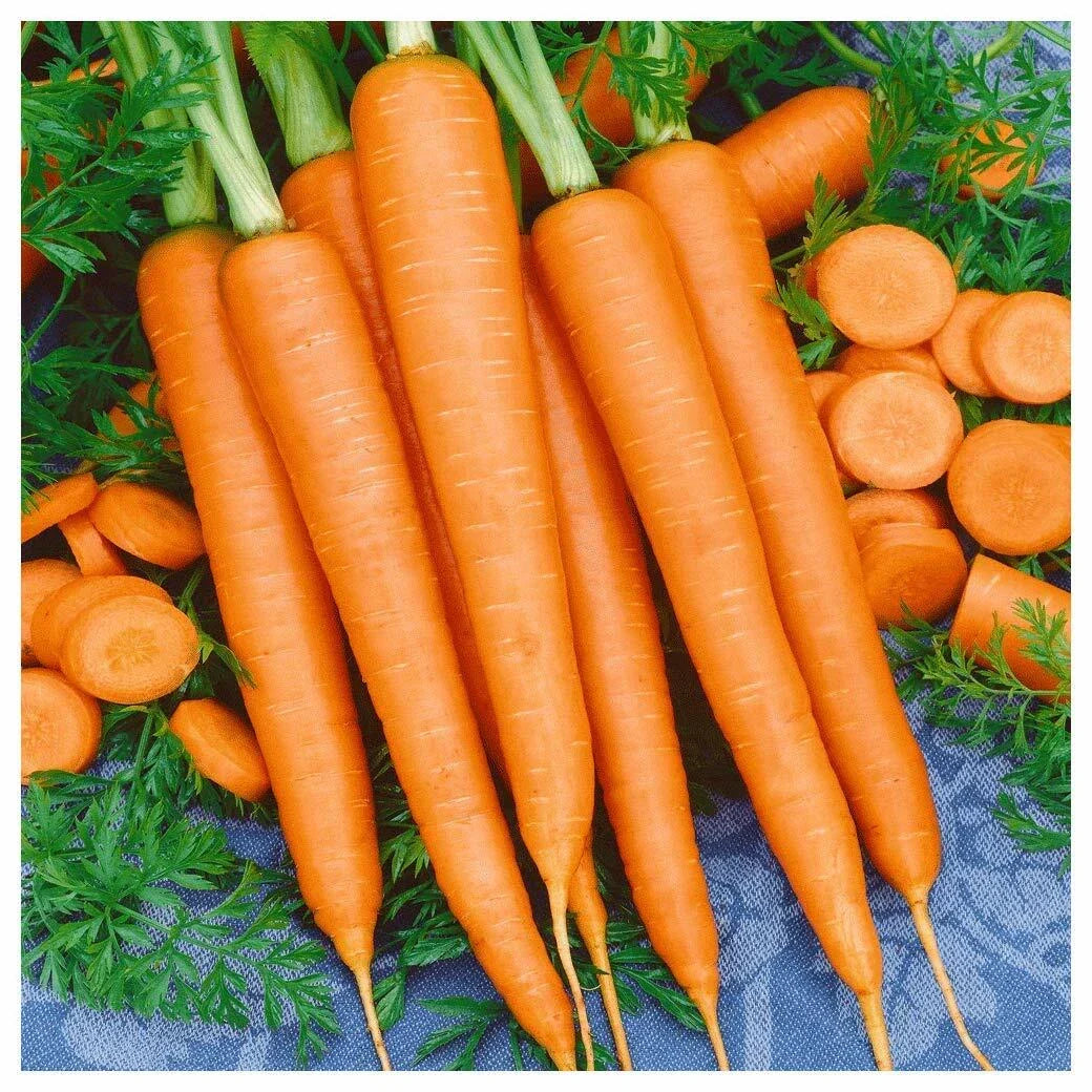 Tendersweet Carrot Seeds - Non-GMO, Heirloom Variety, Beta Carotene, Vitamin A, Garden Planting Seeds, Daucus carota
