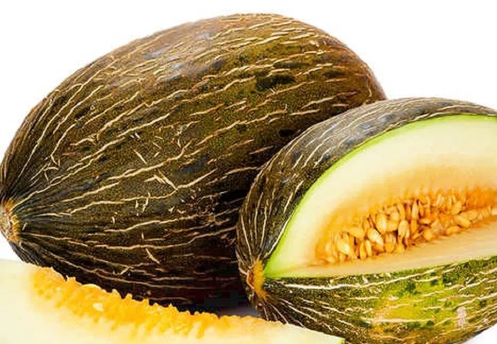Piel de Sapo Melon Seeds | Heirloom Cucumis melo | Non-GMO Garden Seeds for Sweet, Juicy Melons