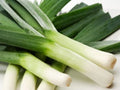 Heirloom Leek Seeds - American Flag Variety, Allium porrum, Vegetable, Pack of 50, Non-GMO, Open-Pollinated, Easy to Grow