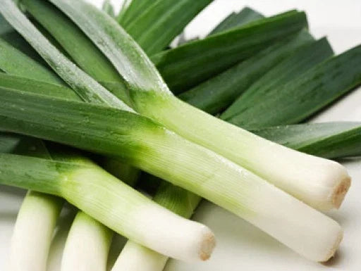 Heirloom Leek Seeds - American Flag Variety, Allium porrum, Vegetable, Pack of 50, Non-GMO, Open-Pollinated, Easy to Grow