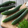 Suyo Long Cucumber Seeds - Heirloom Organic Non-GMO Cucumis sativus - Long, Crisp, Heirloom Vegetable Seeds