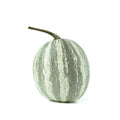 Silver-Edged Pumpkin Seeds Pack – Cucurbita pepo Non-GMO Heirloom for Garden Planting, Decorative & Culinary Use