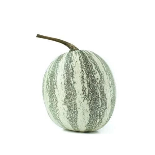 Silver-Edged Pumpkin Seeds Pack – Cucurbita pepo Non-GMO Heirloom for Garden Planting, Decorative & Culinary Use