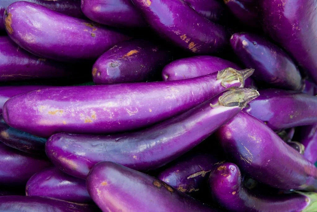 Long Purple Eggplant Seeds - Heirloom Non-GMO Vegetable Seeds for Garden - Solanum melongena, 200+ Seeds