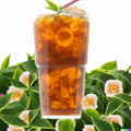 Tea Shrub Seeds - Camellia sinensis - 5 Pack for Black, White, Green Tea Leaf Plants - Easy to Grow Garden Seeds