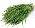 Chives Seeds 250 Count - Garlic Heirloom Variety - Allium tuberosum - Perennial Herb for Culinary Gardens