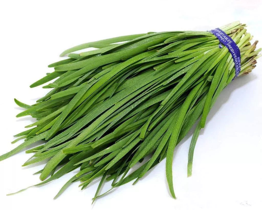 Chives Seeds 250 Count - Garlic Heirloom Variety - Allium tuberosum - Perennial Herb for Culinary Gardens