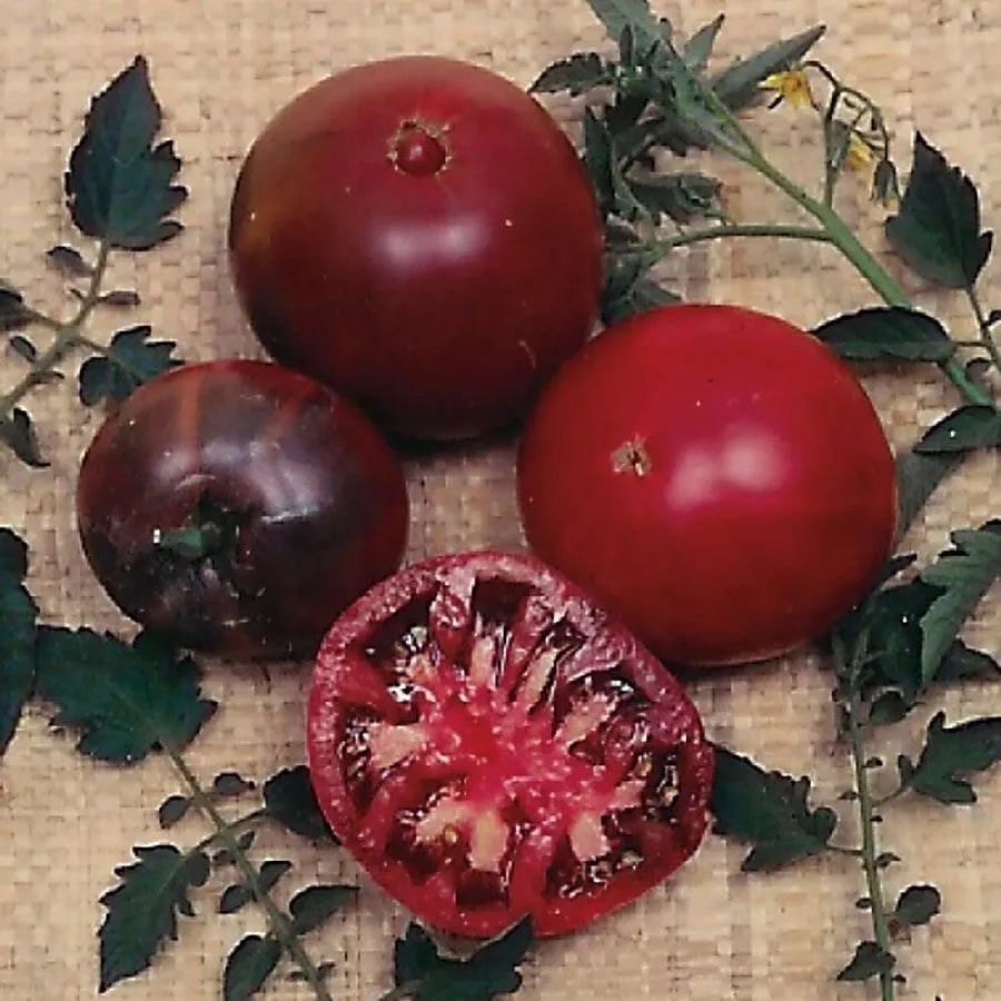 Russian Black Krim Tomato Seeds - Organic Heirloom Non-GMO Solanum lycopersicum, 30+ Seeds for Garden, Container, or Bed