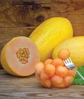 Mango Seed - 50 Seeds - Tropical Fruit Tree - Mangifera indica - Made in USA, Ships from Iowa