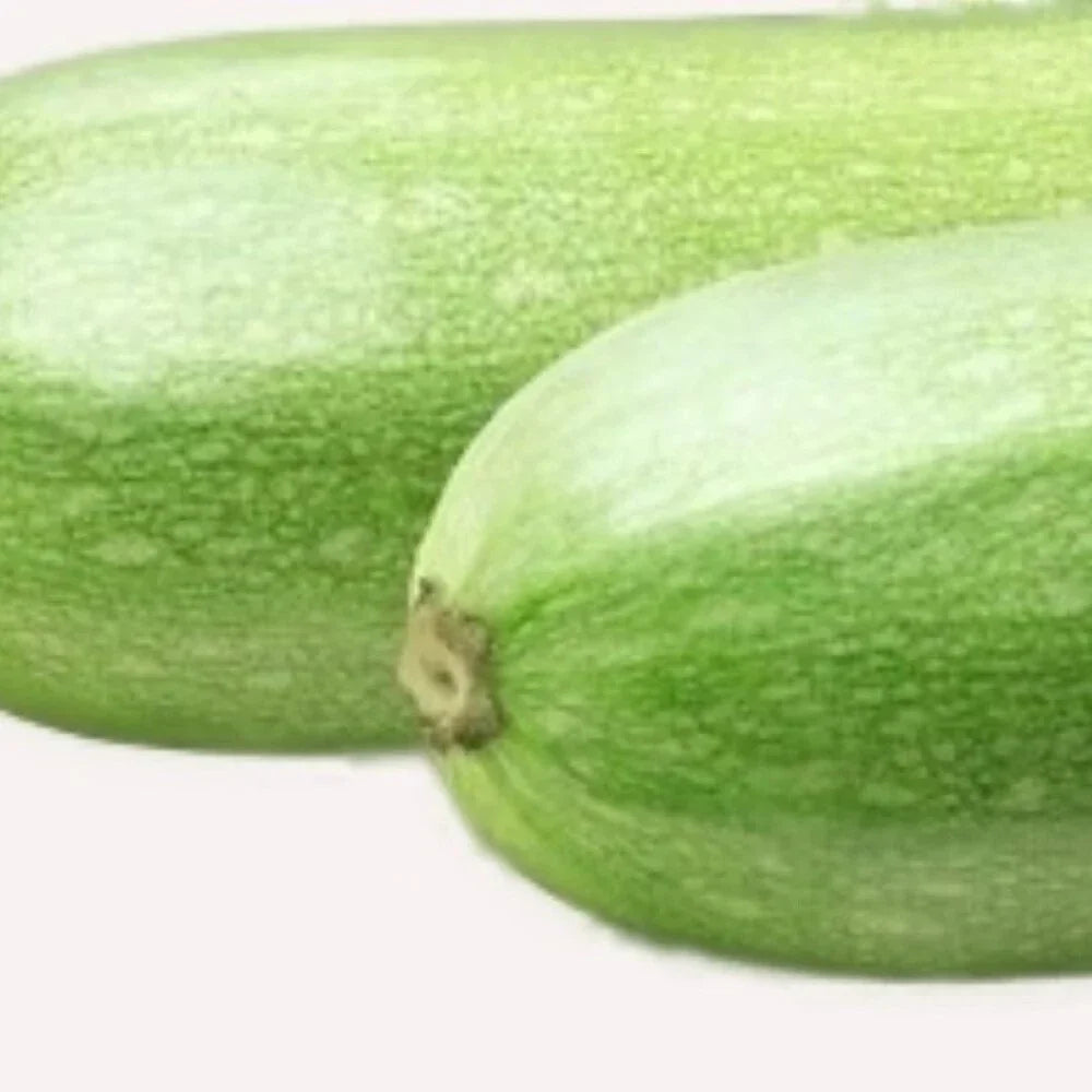 Italian Zucchini Seeds - Non-GMO Heirloom Cucurbita pepo for Home Garden, Bushy, Compact, Full Sun