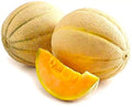Honey Rock Melon Cantaloupe Seeds - Non-GMO, Sweet, Cucumis melo, Pack of 25