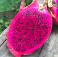 Red Dragon Fruit Seeds | Edible Pitaya Cactus | Hylocereus Undatus | Fruit-Bearing Plant for Home Garden
