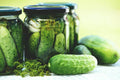 Boston Pickling Cucumber Seeds - Non-GMO Heirloom Cucumis sativus for Pickling & Fresh Eating, Pack of 50+