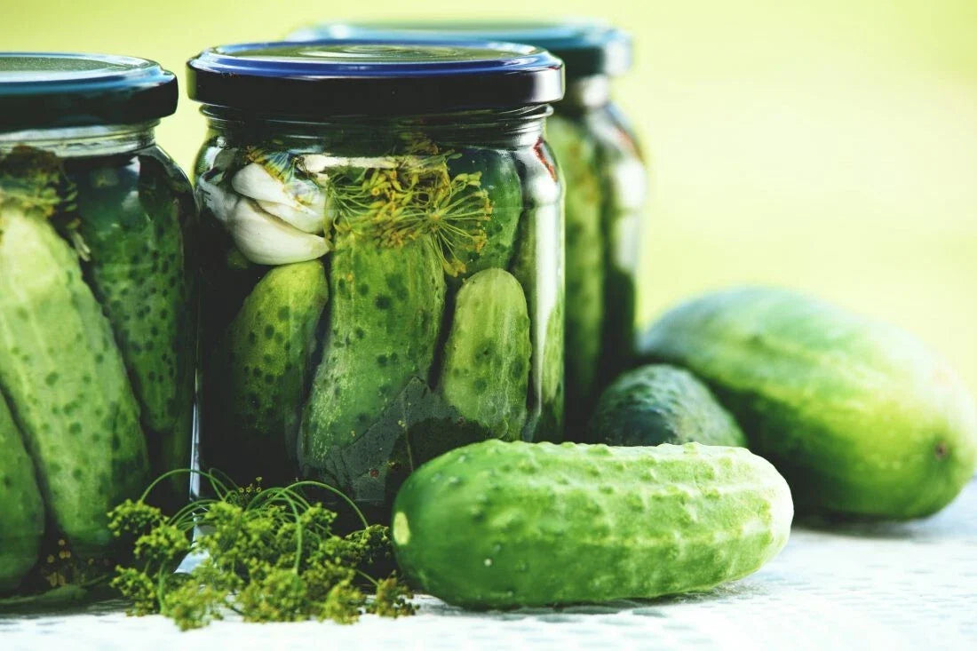Boston Pickling Cucumber Seeds - Non-GMO Heirloom Cucumis sativus for Pickling & Fresh Eating, Pack of 50+