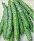 Organic Dragon Suhyo Cross Cucumber Seeds – Long, Crisp, Non-GMO Vegetable Seeds for Home Garden Planting | Cucumis sativus