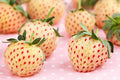 White Strawberry Seeds - Pineberry Variety, Non-GMO, 500 Seeds, Fragaria × ananassa, Made in USA