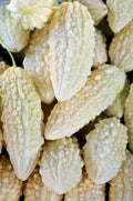 White Bitter Melon Seeds - 6 Pack, Momordica charantia, Vining Plant for Gardening and Cooking