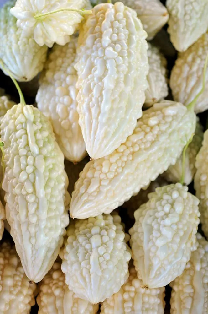 White Bitter Melon Seeds - 6 Pack, Momordica charantia, Vining Plant for Gardening and Cooking