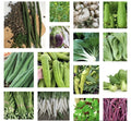 Asian Vegetable Seeds Starter Bundle - 20 Non-GMO Heirloom Varieties for Home Gardening, Includes Bok Choy, Daikon, Chinese Cabbage