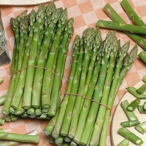Asparagus Seeds Pack 200+ Organic Non-GMO Heirloom UC 157 F2 | Perennial Vegetable Seed for Home Gardens