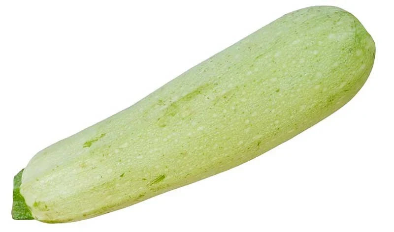 Lebanese Squash Seeds - 25+ Pack, Cucurbita pepo, Non-GMO, Heirloom, Garden Planting, Vining, Full Sun, Organic Soil