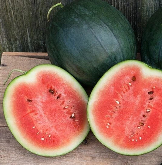 Fresh Sugar Baby Watermelon Seeds - 20 Count, Heirloom Citrullus lanatus, Small Bush Plant, Sweet Juicy Fruit for Home Gardening