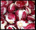 Radicchio Seeds - 5,000 Bulk Seeds - Rouge De Verona Red Chicory - Cichorium intybus - Full Sun to Partial Shade