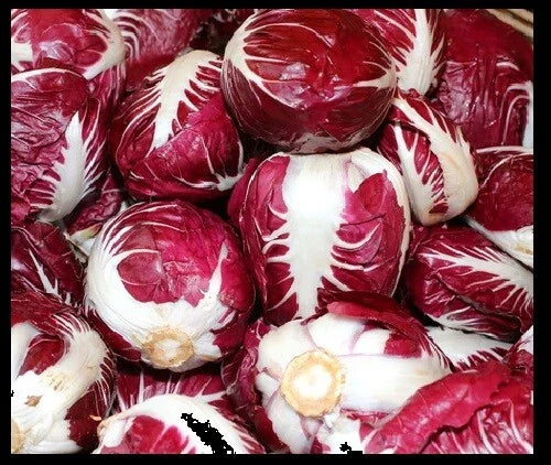 Radicchio Seeds - 5,000 Bulk Seeds - Rouge De Verona Red Chicory - Cichorium intybus - Full Sun to Partial Shade