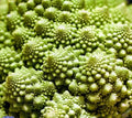 Broccoli Romanesco Seeds 5000 Count Heirloom Variety Brassica oleracea var. botrytis