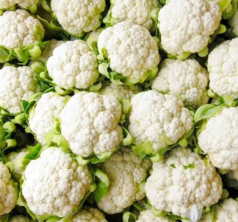 Cauliflower Seeds Pack of 300+ Non-GMO Snowball Y Improved Vegetable Garden Seeds Brassica oleracea
