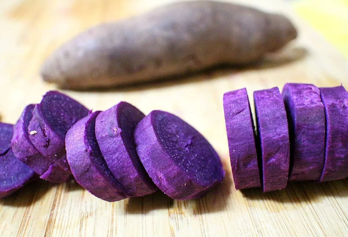 Purple Japanese Sweet Potato Slips - Organic Ipomoea batatas Garden Plants - 10 Pack