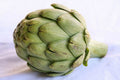 Artichoke Seeds - Pack of 5 - Heirloom Cynara scolymus Vegetable Seeds for Home Garden & Container Planting