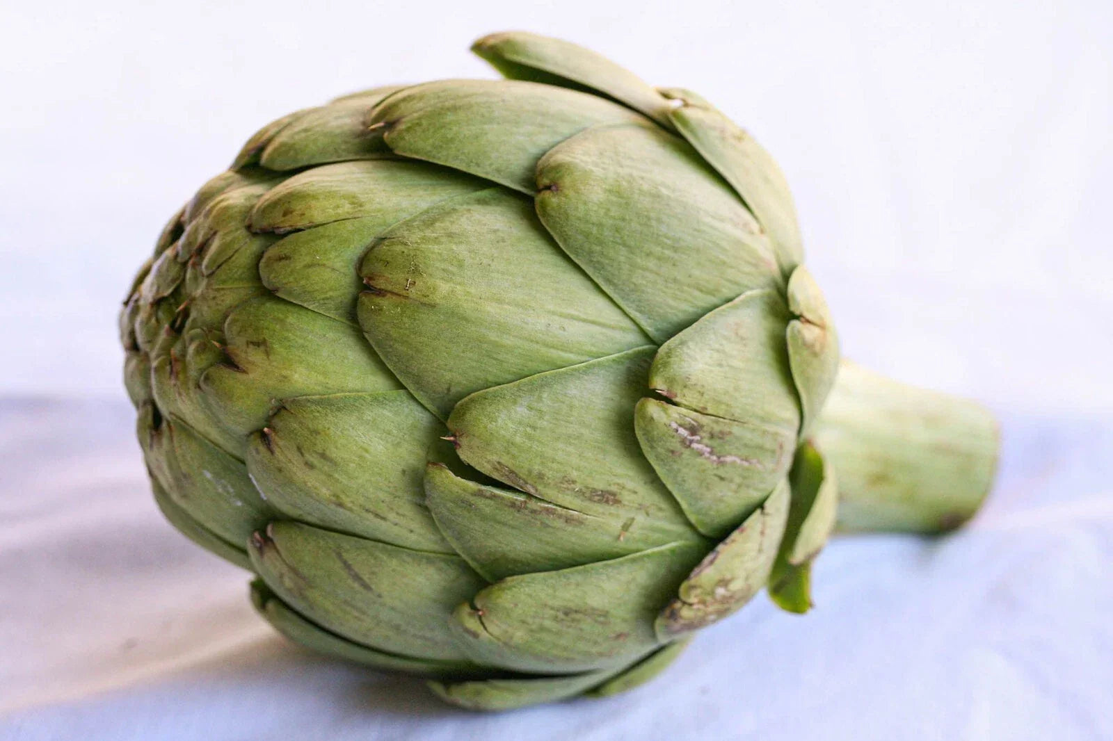 Artichoke Seeds - Pack of 5 - Heirloom Cynara scolymus Vegetable Seeds for Home Garden & Container Planting