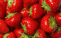 Jewel Strawberry Plants - 5 Root Clusters - Junebearing - Hardy Zones 4-8
