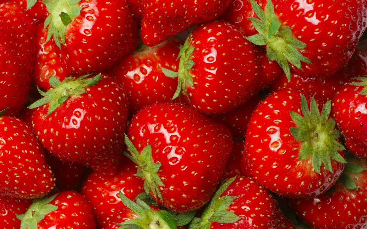 Jewel Strawberry Plants - 5 Root Clusters - Junebearing - Hardy Zones 4-8