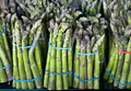 Asparagus Seeds 100 Count - Mary Washington Variety - Asparagus officinalis - Perennial Vegetable for Home Garden
