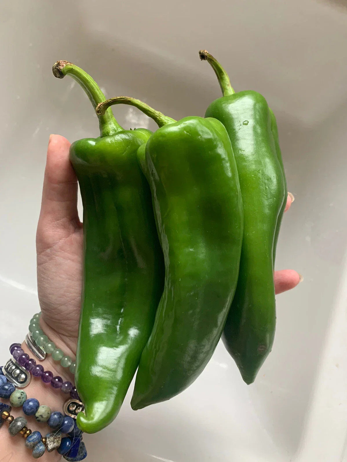 Organic Anaheim Chile Hot Pepper Seeds - NON-GMO Heirloom Capsicum annuum, Mild Heat, 25 Seeds for Salsas & Cooking