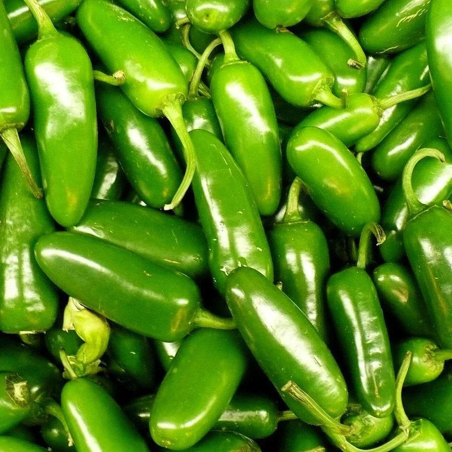 Jalapeno Pepper Seeds - Heirloom Capsicum annuum for Home Gardening - Spicy Peppers, Fresh Seeds, Non-GMO, Easy to Grow