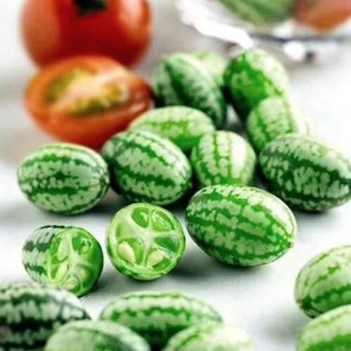 Organic Cucamelon Seeds - Melothria scabra Mini Watermelon for Home Gardening, Non-GMO, 20 Seeds