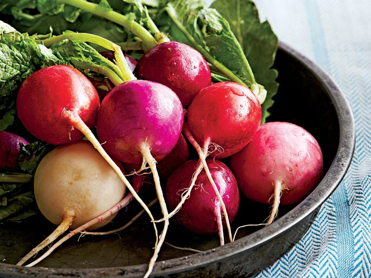 Easter Egg Radish Seeds - Non-GMO, Fast Harvest, Colorful Mix, Raphanus sativus, Vegetable Seeds, Container Gardening