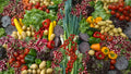 Emergency Survival Seed Bank 21,500+ Seeds with 42 Varieties of Medicinal, Edible & Herbal Plants - Self-Sufficiency Kit