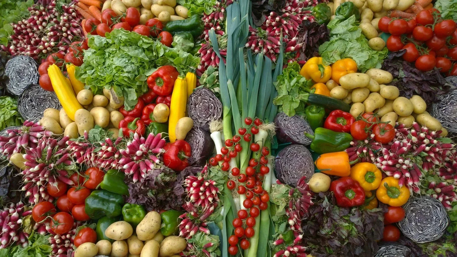 Emergency Survival Seed Bank 21,500+ Seeds with 42 Varieties of Medicinal, Edible & Herbal Plants - Self-Sufficiency Kit