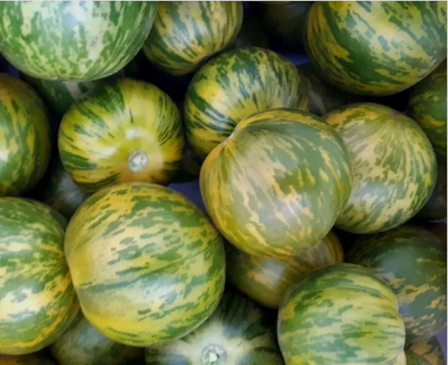 Green Zebra Tomato Seeds 50 Count Heirloom Non-GMO Vegetable Garden Seeds Solanum lycopersicum
