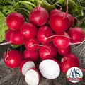 Organic Cherry Belle Radish Seeds - Heirloom Raphanus sativus for Crisp Salad Garnishes & Container Gardening